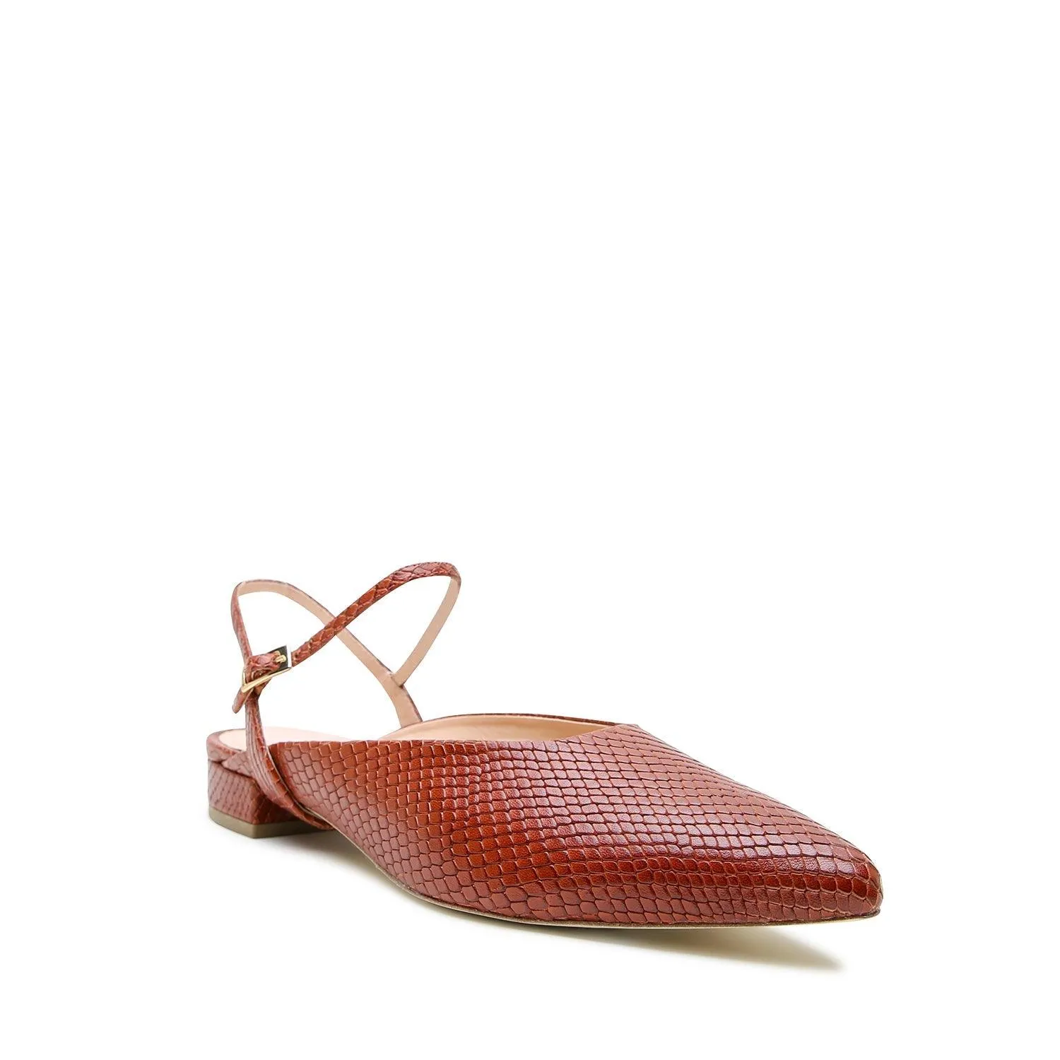 Brown Snake Point Slide   Amal Strap