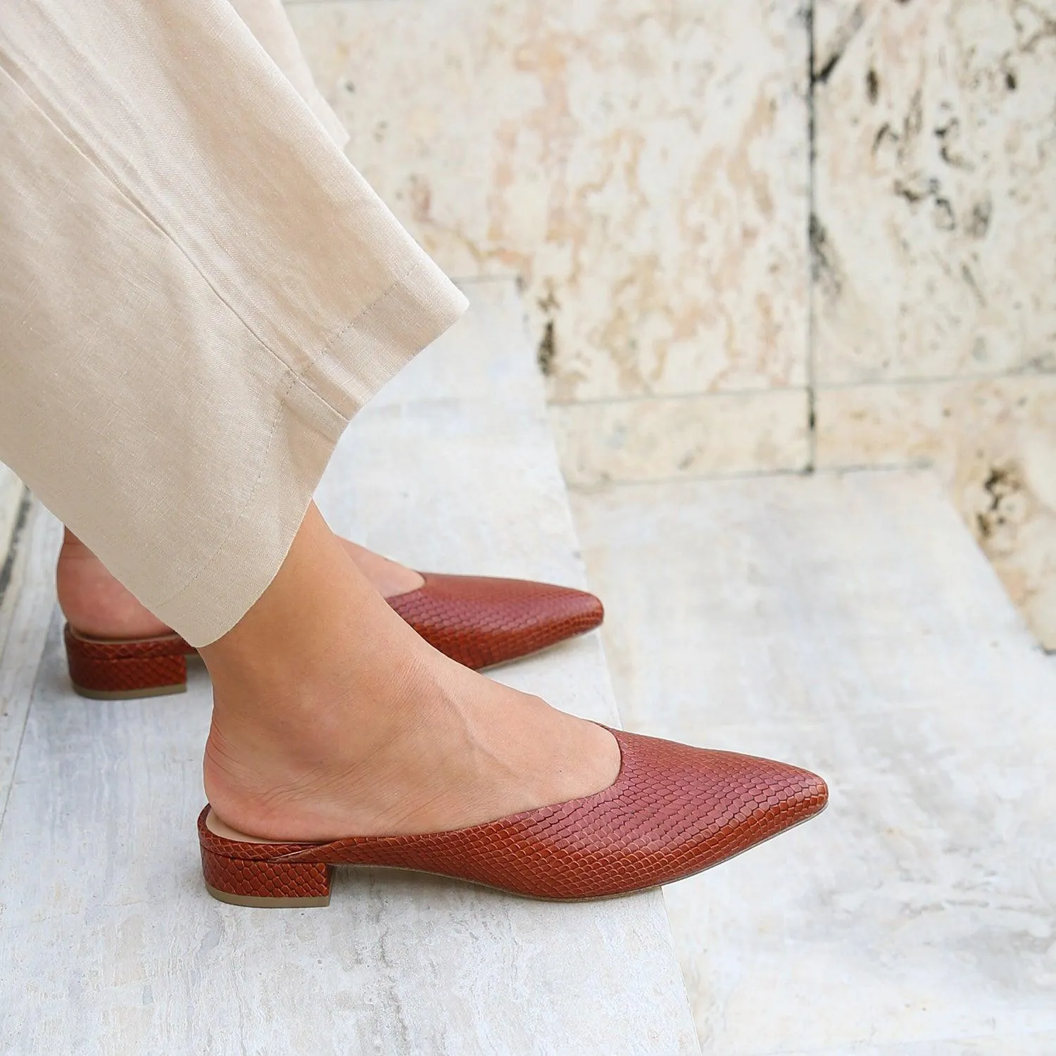Brown Snake Point Slide   Amal Strap