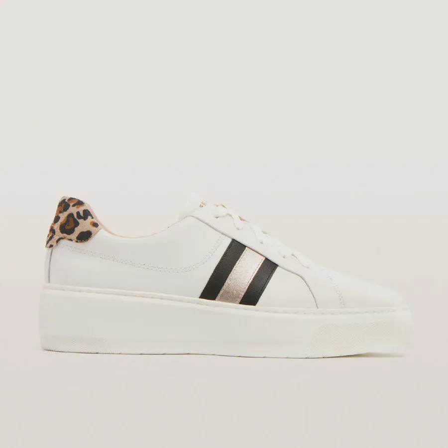 Frankie4 Riley Sneaker.