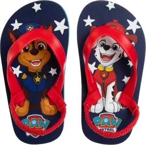 Nickelodeon Girls Boys character flip flops sandals kids water shoes - Paw Patrol Blues Clues Baby Shark - thong beach slides summer slip on quick dry toddler little kid