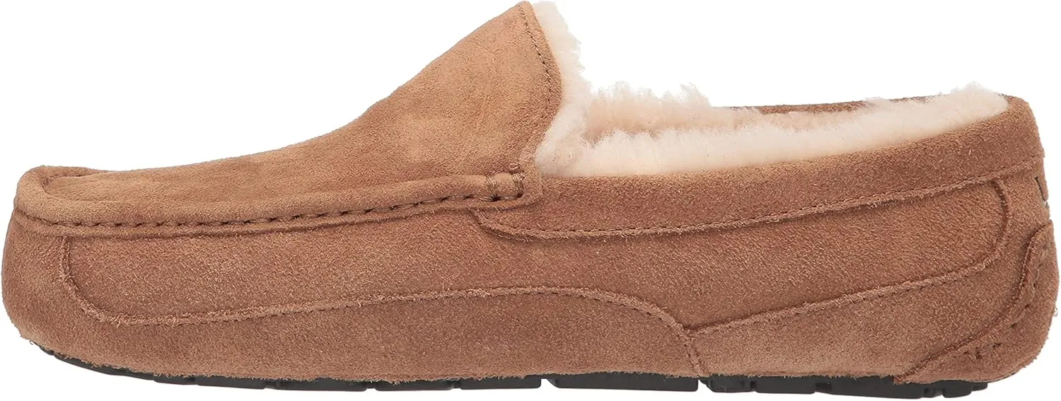 UGG Men's Ascot Slipper
