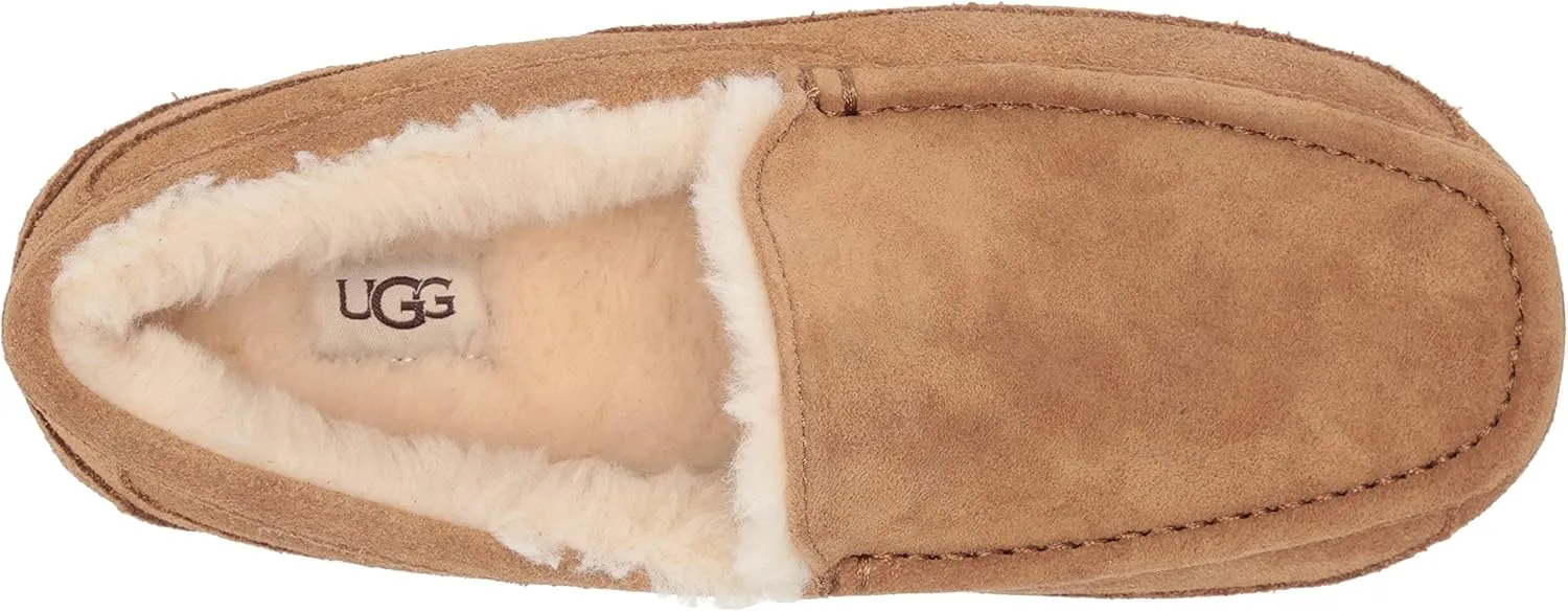 UGG Men's Ascot Slipper