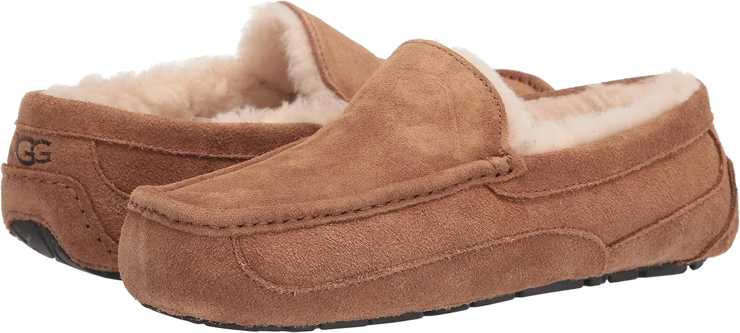 UGG Men's Ascot Slipper